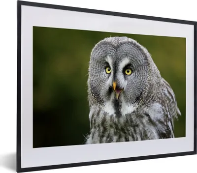 Produktbild von MuchoWow® MuchoWow® Gerahmtes Poster Vogel - Eule - Grau 40x30 cm - Poster mit zchwarzem Bilderrahmen - Bilderrahmen - Poster im Rahmen
