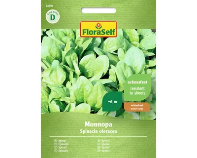 Obrázek produktu pro Špenát Monnopa FloraSelf Seed Odolná semena Semena zeleniny