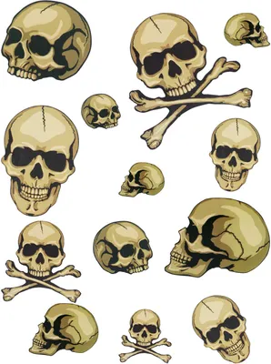 Zdjęcie produktu dla Naklejka ścienna na Halloween, dekoracja, motyw: groza, horror, czaszki