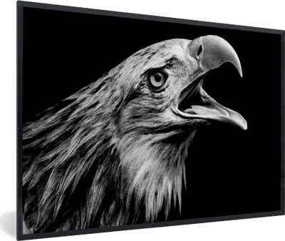 Produktbild von MuchoWow® Gerahmtes Poster Adler - Porträt - Raubvögel - Schwarz - Weiß - Vogel 60x40 cm - Poster mit Schwarzem Bilderrahmen Wandposter Rahmen Foto Bilder - Printing - Wanddeko Schlafzimmer