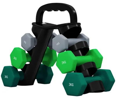 Productafbeelding van SPORTNOW 6-delige set halters: 2 x 1 kg, 2 x 2 kg, 2 x 3 kg, halterset met standaard
