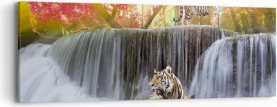Produktbild von Bild auf Leinwand - Leinwandbild - Tiger natur tier paradies - 90x30cm - Wand Bild - Wanddeko - Leinwanddruck - Bilder - Kunstdruck - Wanddekoration - Leinwand bilder - Wandkunst - AB90x30-2396