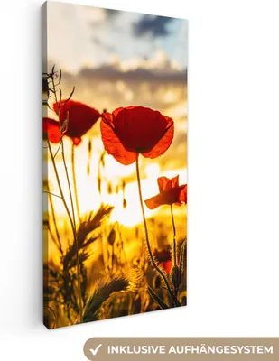 Produktbild von MuchoWow® - Leinwandbilder - Rote Mohnblumen bei Sonnenaufgang, Wandbild, Wanddeko Bilder Wohnzimmer, 20x40 cm
