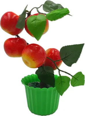 Immagine prodotto di alberello da frutto in vaso