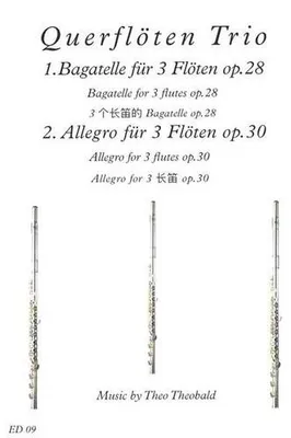 Immagine prodotto di Querflöten Trio