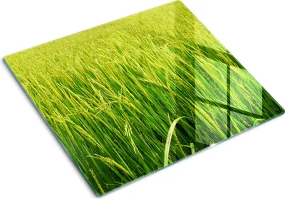 Produktbild von Tulup Glas Herdabdeckplatte Glaskeramikkochfeld-Abdeckung Spritzschutz Glasabdeckplatte Kochplattenabdeckung und Schneidebrett - Einteilig - 60x52 cm Reisfeld