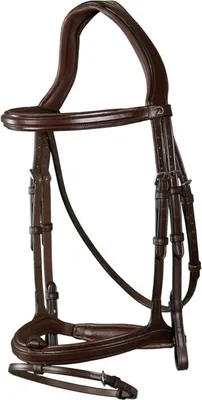 Image de Bridon Dyon New English Collection avec muserolle combinée