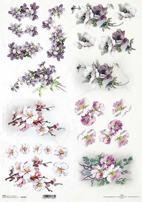 Immagine prodotto di ITD carta di riso per decoupage A3 fiori fruttati, viole, papaveri 1035L