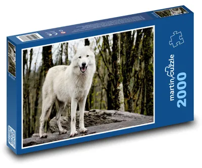 Obrázek produktu pro Puzzle 2000 Vlk v zimním lese - martinpuzzle