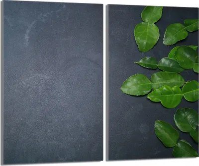 Immagine prodotto di Piastre coprifornelli 2 pezzi 30x52 vetro coprifornelli in Vetroceramica, fogliame ardesia