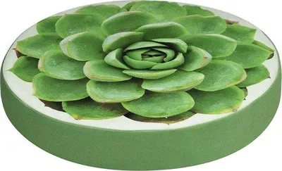 Image de Housse de siège, pour chaise, cuisine, jardin, lavable, coussin de siège, coussin pour chaise, décoration, LOT de 2