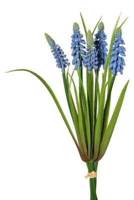 Produktbild von Kunstblume MUSCARI BUND 30cm. Bund mit 5 Traubenhyazinthen. BLAU