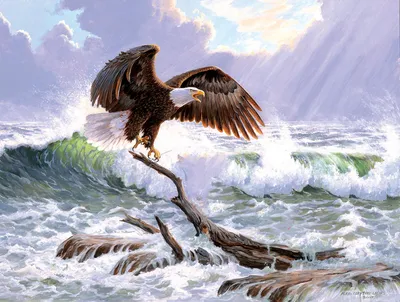 Immagine prodotto di SunsOut Puzzle XXL pezzi - mare maestoso - 500 pezzi