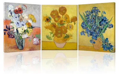 Productafbeelding van Set van 3 moderne canvasprints met bloemen