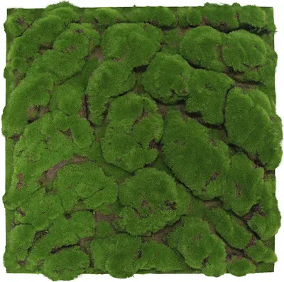 Produktbild von JANGAL Modular Wall Akustik 3D Paneele  520 x 520 mm Forest Green Big Bulk Design Moos Kunst Pflanzenwand Moospaneele