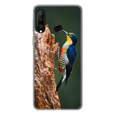 Produktbild von MuchoWow® Handyhülle Schutzhülle Hülle für Huawei P30 Lite Nahaufnahme eines bunten Vogels auf der Seite eines Baumstamms Silikon Softcase Handy Hülle - Handyhülle