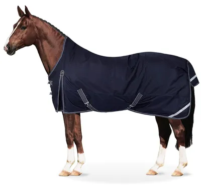 Produktbild von Equinate wasserdichte Regendecke Oakland mit Fleeceinnenfutter 125cm Navy