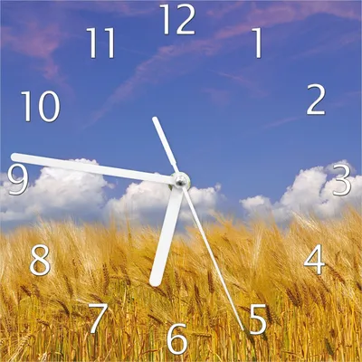 Produktbild von Wallario Design Wanduhr Kornfeld unter blauem Himmel aus Echtglas, Größe 20 x 20 cm