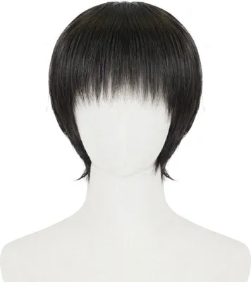 Zdjęcie produktu dla Peruka Cosplay autorstwa Levi Ackerman dla fanów Attack on Titan | Black