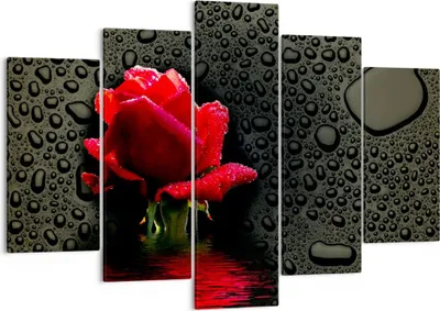 Produktbild von Bild auf Leinwand - Leinwandbild - Blume rote rose wasser tau - 150x100cm - Wand Bild - Wanddeko - Leinwanddruck - Bilder - Kunstdruck - Wanddekoration - Leinwand bilder - Wandkunst - EA150x100-2367
