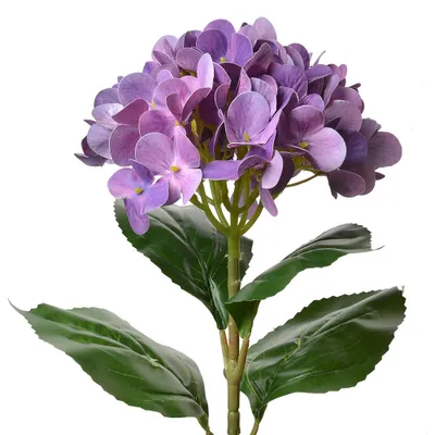 Image de Clayre & Eef Fleur artificielle Hortensia 68 cm Violet Plastique