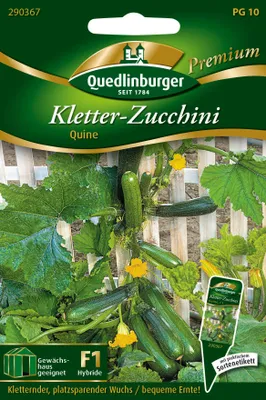 Zdjęcie produktu dla Quedlinburger Saatgut - Cukinia pnąca Quine - nasiona - 290367