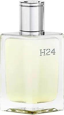 Image de Hermès H24 eau de parfum pour homme 100 ml