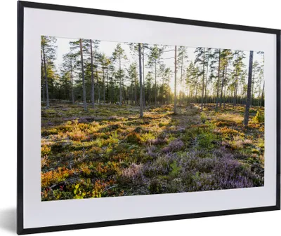 Produktbild von MuchoWow® Gerahmtes Poster Bäume in einer Heidelandschaft 60x40 cm - Poster mit Schwarzem Bilderrahmen Wandposter Rahmen Foto Bilder - Schlafzimmer - Plakat in Rahmen - Drucken