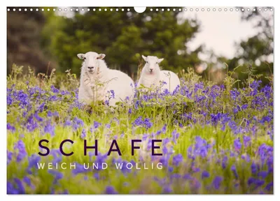 Produktbild von Schafe - Weich und wollig (Wandkalender 2027 DIN A3 quer), CALVENDO Monatskalender