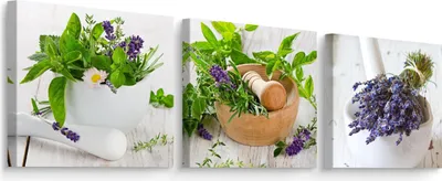 Produktbild von Leinwandbilder Set 3 Bilder LAVENDEL Kräuter Blätter Natur für Küche Esszimmer 150cm x 50cm (3x 50cm x 50cm)