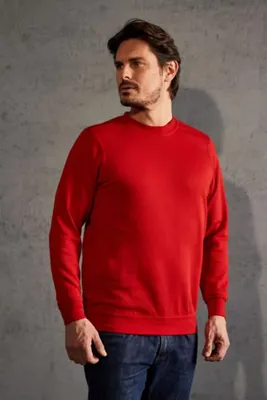 Image de Sweat homme Promodoro 80 / 20 taille XL rouge 80% coton 20% polyester 280g / m - 2199F