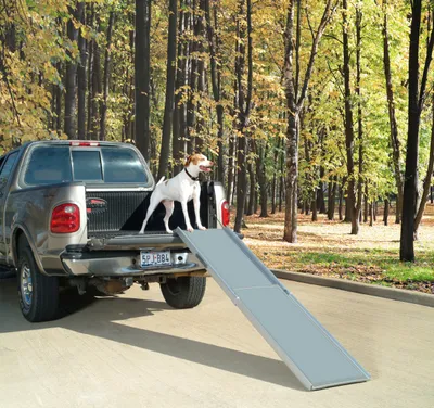Produktbild von hundeausführhilfe Deluxe XL 220 cm aluminiumgrau