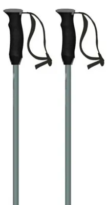 Produktbild von Atomic Revent Stöcke Silber 125 cm Silber 125 cm
