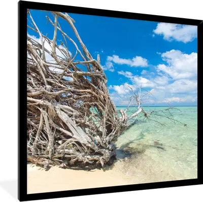 Produktbild von MuchoWow® Gerahmtes Poster Strand - Äste - Tropisch - Meer 40x40 cm - Poster mit Schwarzem Bilderrahmen Wandposter Rahmen Foto Bilder - Mit Rahmen - Wanddekoration Schlafzimmer