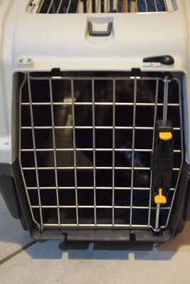 Produktbild von Transportbox für Katzen und Hunde - Transportkooi mit Ventilationsöffnungen - Grau - 56 x 36 x 35 cm