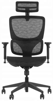 Produktbild von ErgoNew S1 ergonomischer Drehstuhl – 3D-Armlehnen und Kopfstütze, Nylonbasis