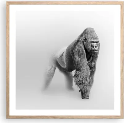Produktbild von Gerahmtes Poster - Rahmen in heller Eiche - Orang-Utan Tier - 60x60 cm - Wand Bild - Wanddeko - Wandbilder - Kunstposter - Wandposter - Bilderrahmen - Bilder - Kunstdruck - Wandbild - P2NAC60x60-4105