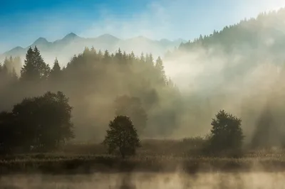 Produktbild von Muralo Fototapete Wald im Nebel 135 (B) x 90 (H) cm Vlies Tapete Wandtapeten Gebirge Bäume Wohnzimmer Schlafzimmer moderne Wandbilder XXL Landschaft Panorama Wand Dekoration