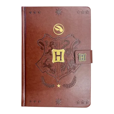 Image de Cahier A5 premium Harry Potter Boucle d'or