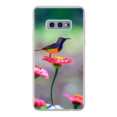 Produktbild von MuchoWow® Handyhülle Schutzhülle Hülle für Samsung Galaxy S10e Nahaufnahme eines Kolibris auf rosa Blüten Silikon Softcase Handy Hülle - Handy