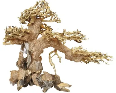 Obrázok produktu pre Aqua-Bonsai M (23-30 cm)