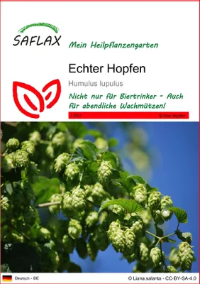 Produktbild von SAFLAX - Heilpflanzen - Echter Hopfen - 50 Samen - Humulus lupulus