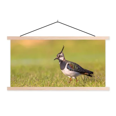 Produktbild von MuchoWow® Textilposter Vogel - Gras - Natur - Tiere - Kiebitz 60x30 cm mit holzfarbenen Rahmen - Dekoration