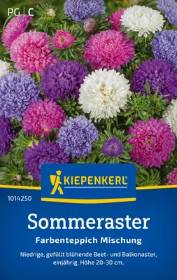 Produktbild von Kiepenkerl Sommerastersamen Farbenteppich 40 Pflanzen