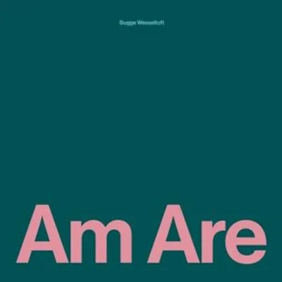 Immagine prodotto di Am Are(2LP)