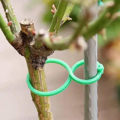 Pflanzenclips 100 Stück, Hauptbild