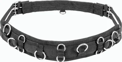 Produktbild von USG Mini-Shetty Longiergurt, schwarz