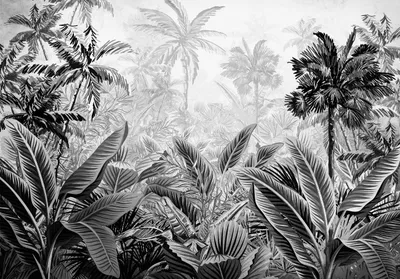 Obrázok produktu pre Netkané lesné džungle tapety na stenu (312 cm x 219 cm - 3 panely) čierna biela Amazonia dažďový prales obývacia izba spálňa chodba tapety tapety odolné voči UV žiareniu vysoké rozlíšenie pripravené na zavesenie