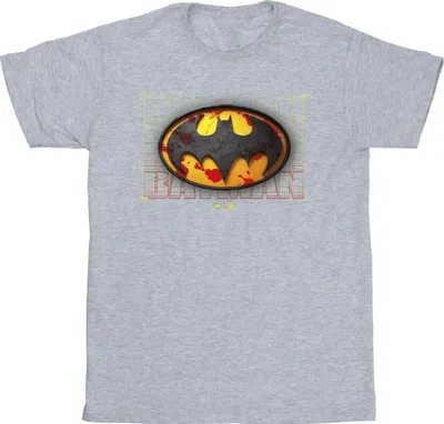 Produktbild von DC Comics - T-Shirt für Herren BI47903 (5XL) (Grau)