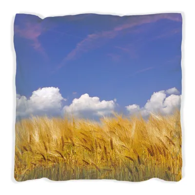 Produktbild von Wallario Premium Kissen, weiche Oberfläche, mit Motiv Kornfeld unter blauem Himmel, Größe: 60 x 60 cm, mit weißer Rückseite